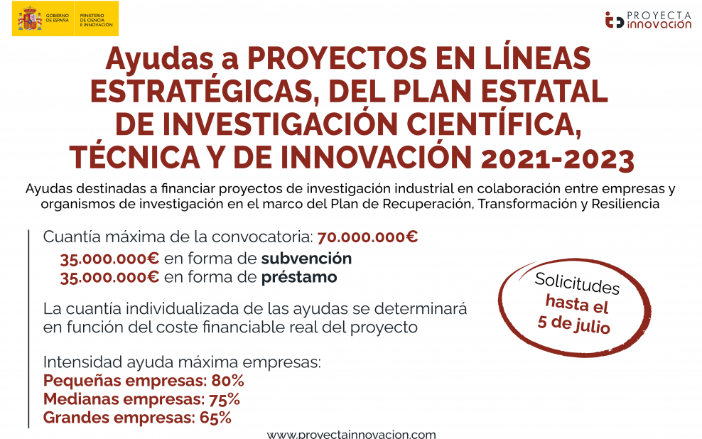 Ayudas públicas a proyectos en líneas estratégicas