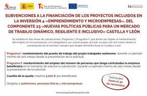 Subvenciones mantenimiento empleo Castilla y Leon 2022