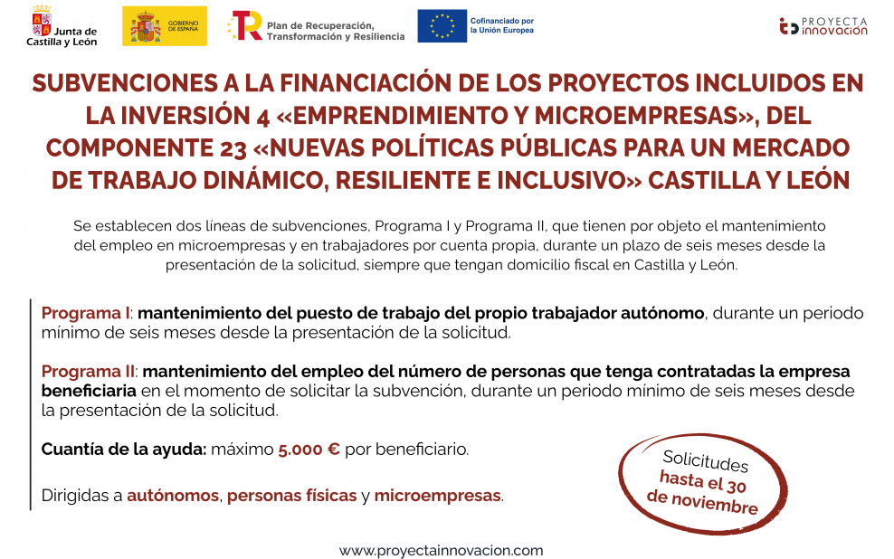 Subvenciones mantenimiento empleo Castilla y Leon 2022