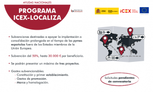 PROGRAMA ICEX LOCALIZA