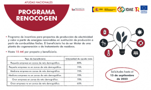 programa RENOCOGEN