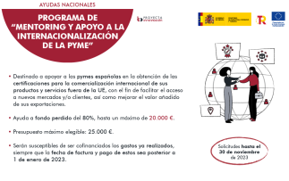 PROGRAMA MENTORING Y APOYO INTERNACIONAL PYME