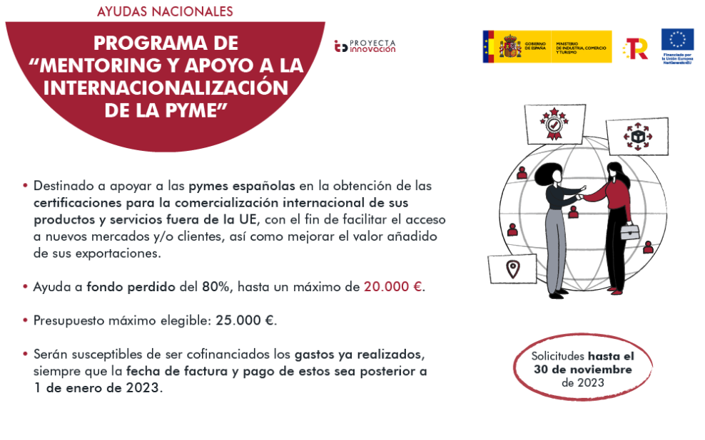 PROGRAMA MENTORING Y APOYO INTERNACIONAL PYME