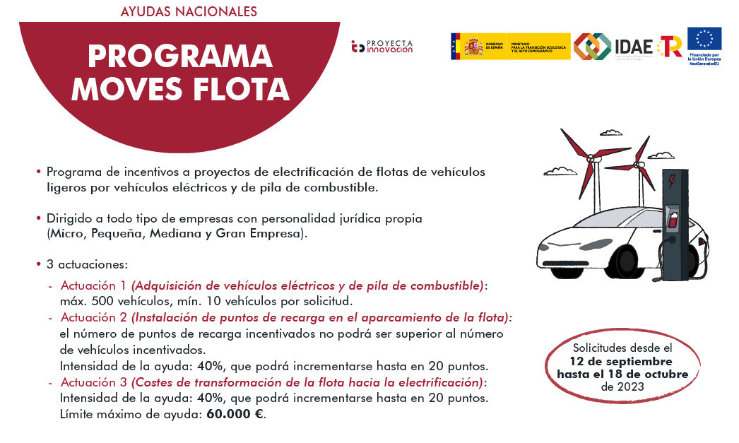 PROGRAMA MOVES FLOTA